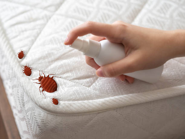 Best Pest Exclusion Services  in Evanston, WY